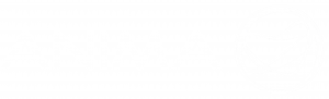 logo Anima