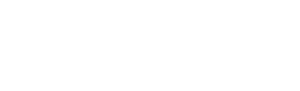 logo Nexi