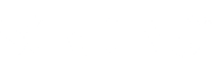 logo Scrigno